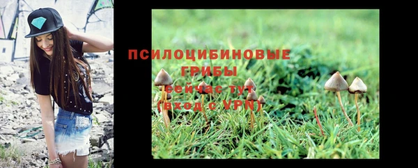 спайс Белокуриха